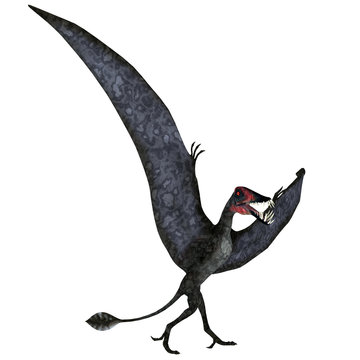 Dorygnathus Pterosaur on Ground - Dorygnathus was a carnivorous Pterosaur reptile that lived in Europe during the Jurassic Period.