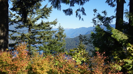 North Shore Mountains From Burnaby Mountain Park