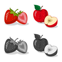 Isolated object of vegetable and fruit logo. Collection of vegetable and vegetarian vector icon for stock.