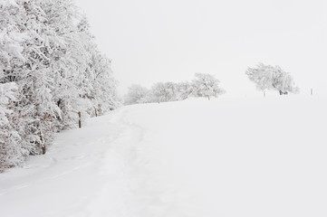 Winterliche Landschaft
