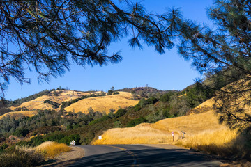 Road through Mt Diablo State Park, the summit and golden hills visible in the backgammon, Contra Costa county, San Francisco bay, California