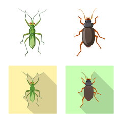Vector illustration of insect and fly sign. Set of insect and element stock vector illustration.