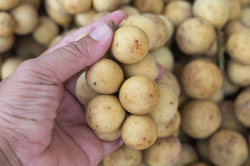 Closeup of Wollongong fruit