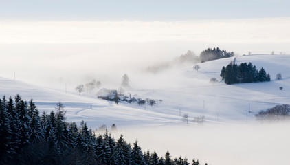Blick vom Schauinsland nach Freiburg bei Nebel