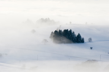Eine verschneite Landschaft In Nebel getaucht