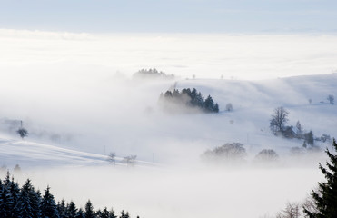 Nebelmeer im Schwarzwald