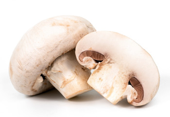 white champignons on a white background