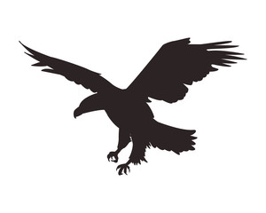 wild eagle body cartoon