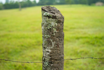 Wooden Fencepost with Barbed Wire