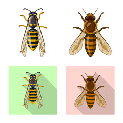 Vector illustration of insect and fly sign. Collection of insect and element vector icon for stock.