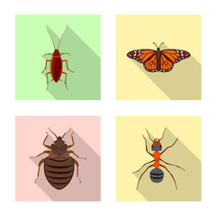 Isolated object of insect and fly logo. Set of insect and element stock vector illustration.