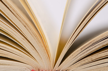 Book page macro education text on blur background