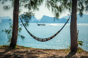 Hammock between two exotic trees at tropical beach background