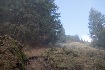 Fototapeta premium beautiful autumn hiking in berchtesgadener alps