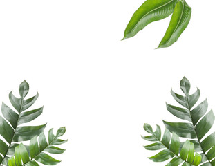 Background of Tropical Leaves with copy space