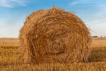 A bale of straw