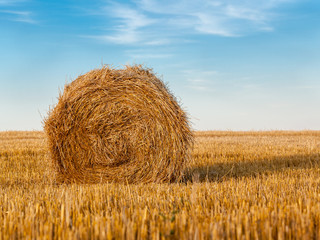 Rural landscape with a bale of golden straw