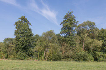 Obraz premium summer landscape