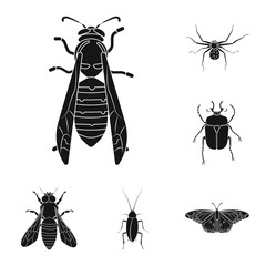 Isolated object of insect and fly logo. Collection of insect and element stock vector illustration.