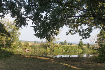 The river Naab