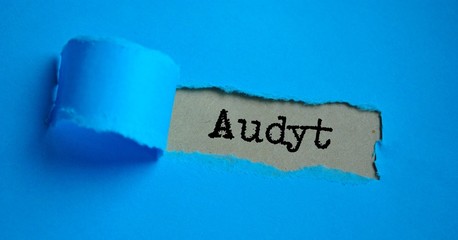 Audyt