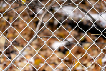 Fototapeta premium Fall colours with chain link fence background