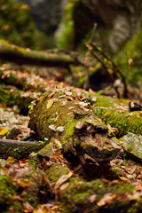Autumnal canyon landscape with selective focus