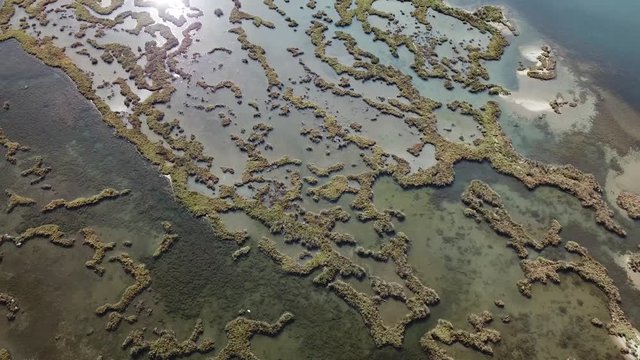 Beautiful lagoon in Butrint, Saranda / Sarande, Albania with seagulls flying (Albanian Riviera)
