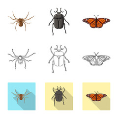 Isolated object of insect and fly sign. Set of insect and element stock symbol for web.