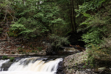 waterfall in forest