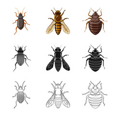 Isolated object of insect and fly icon. Collection of insect and element vector icon for stock.