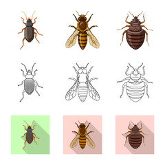 Vector illustration of insect and fly icon. Set of insect and element stock symbol for web.