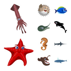 Vector illustration of sea and animal icon. Set of sea and marine vector icon for stock.