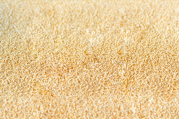 Background of amaranth, amaranthus seeds healthy food background, wallpaper, texture. Selective focus in the center