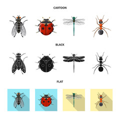 Isolated object of insect and fly logo. Collection of insect and element stock vector illustration.
