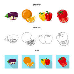 Vector design of vegetable and fruit symbol. Collection of vegetable and vegetarian stock vector illustration.