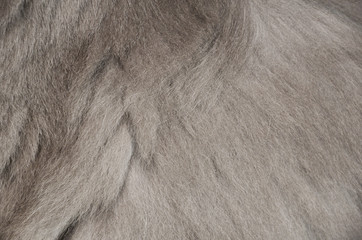 texture of gray long fluffy wool. gray soft background