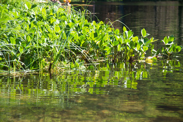 beautiful nature of Söderåsen National Park