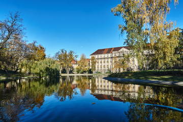 Trees in the park with Colorful autumn leaves on a pond and a tenement house in Poznan.
