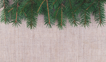 Fresh green branches of pine needles against the background of linen. Winter background