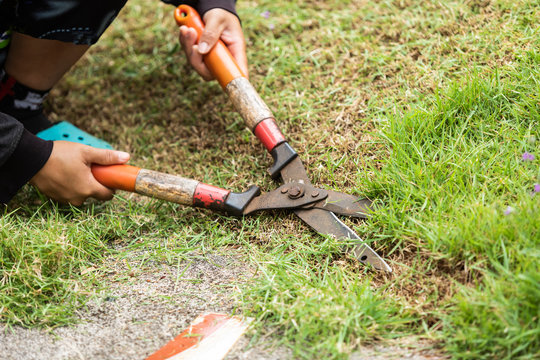 Worker Cutting Grass With Scissors In The Garden