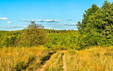 Typical rural landscape of Kursk region, Russia