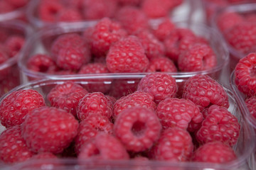 Fresh juicy raspberry on the market