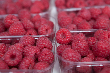 Fresh juicy raspberry on the market