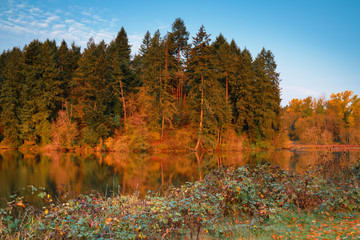 Percivil Cove, Olympia Washington