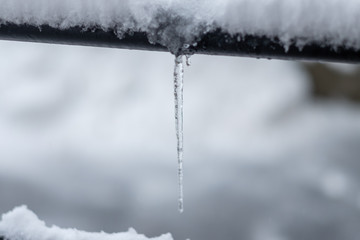Icicle in winter