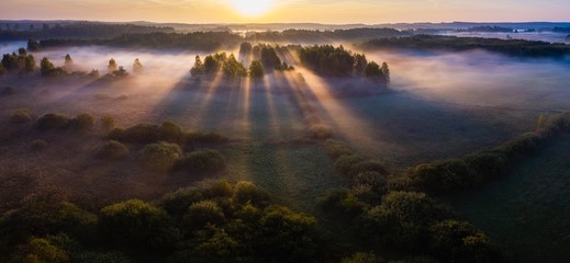 Foggy morning on meadow. Aerial photography landscape.