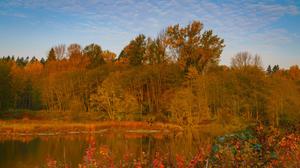 Percivil Cove, Olympia Washington
