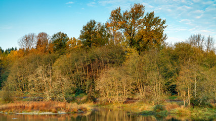 Percivil Cove, Olympia Washington