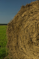 Haystack in a summer field
